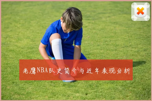 老鹰NBA队史简介与近年表现分析