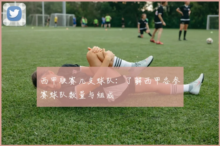 西甲联赛几支球队：了解西甲各参赛球队数量与组成