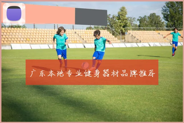 广东本地专业健身器材品牌推荐