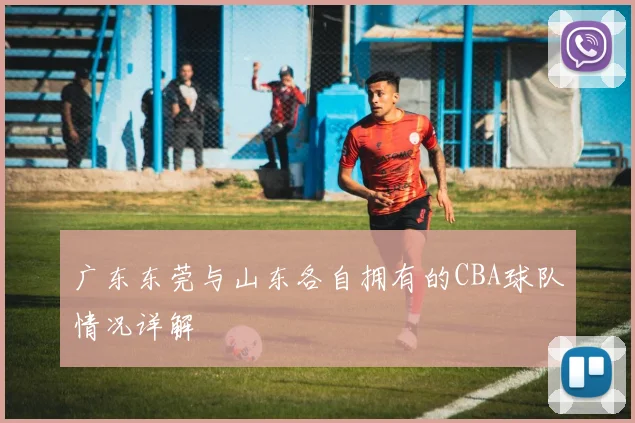 广东东莞与山东各自拥有的CBA球队情况详解