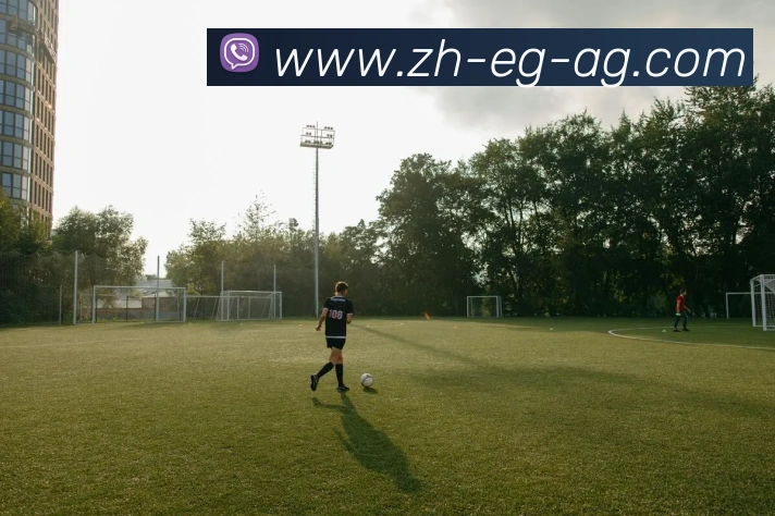 多媒体互动体验